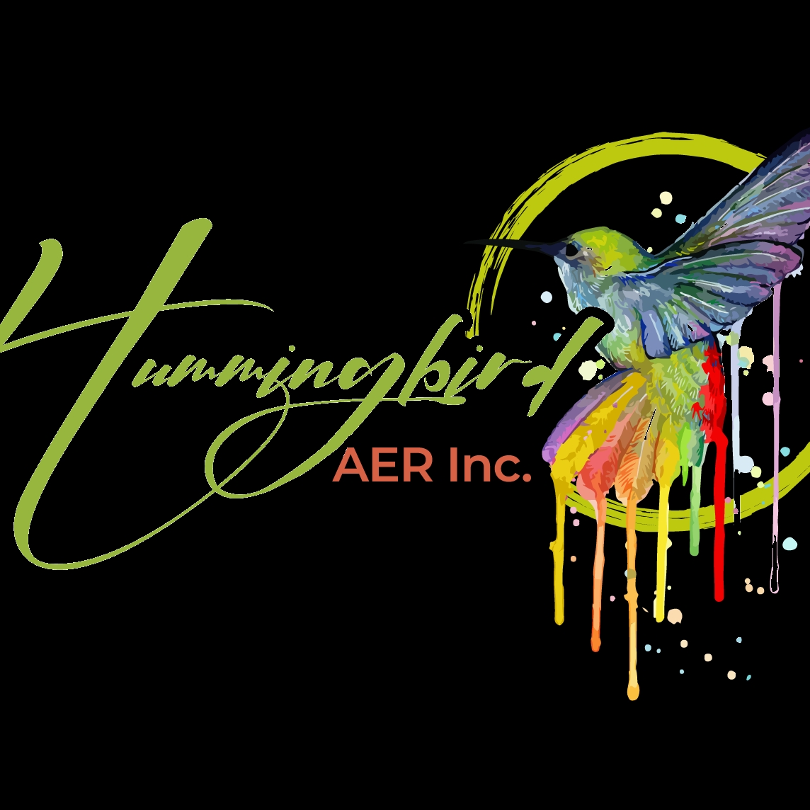 HummingBird AER INC logo