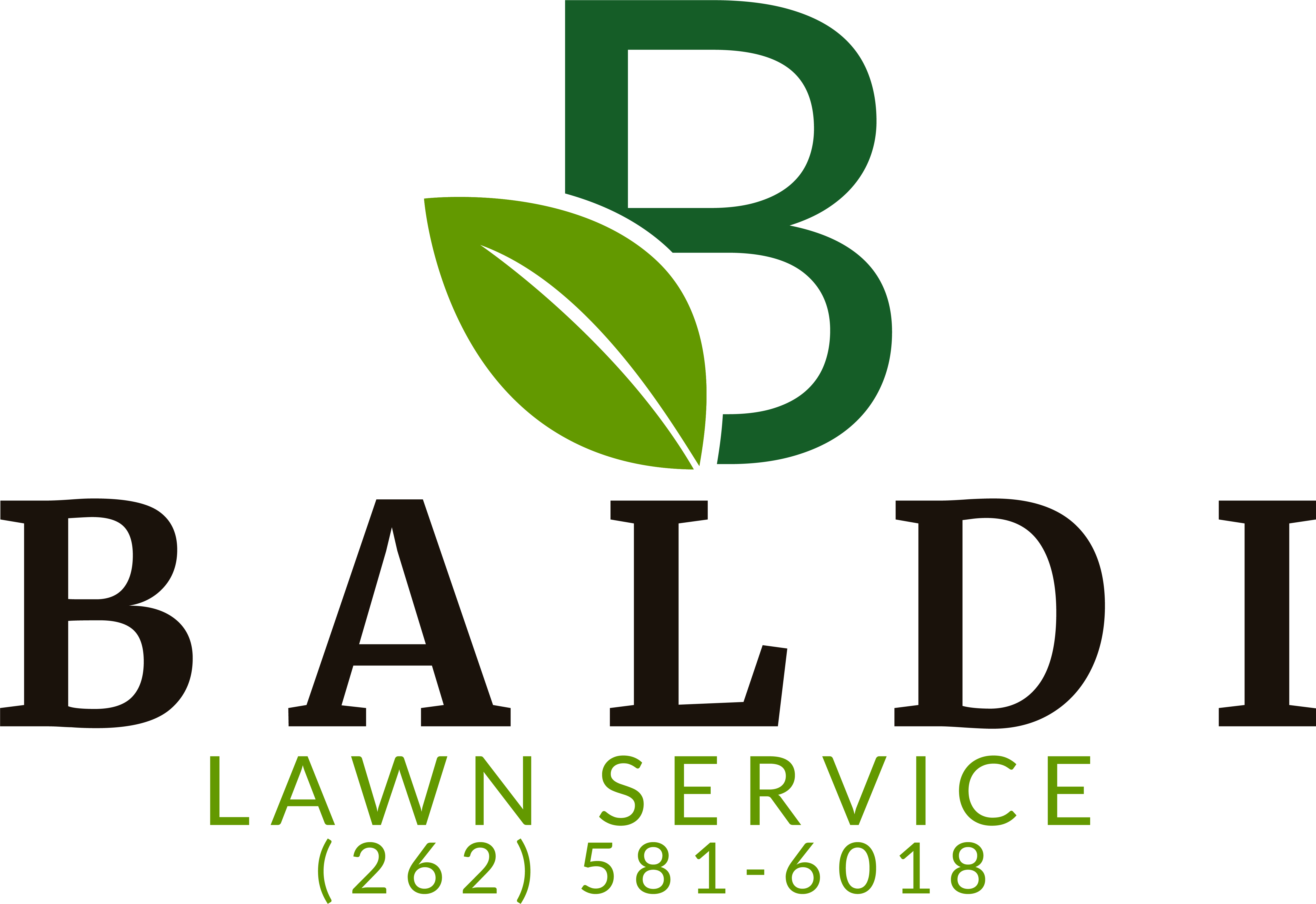 Avatar for Baldi Lawn Service