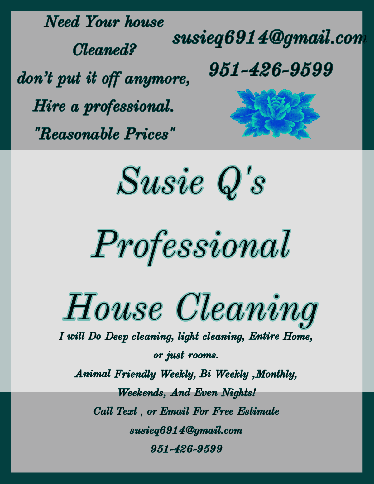 Avatar for Susieqs home cleaning