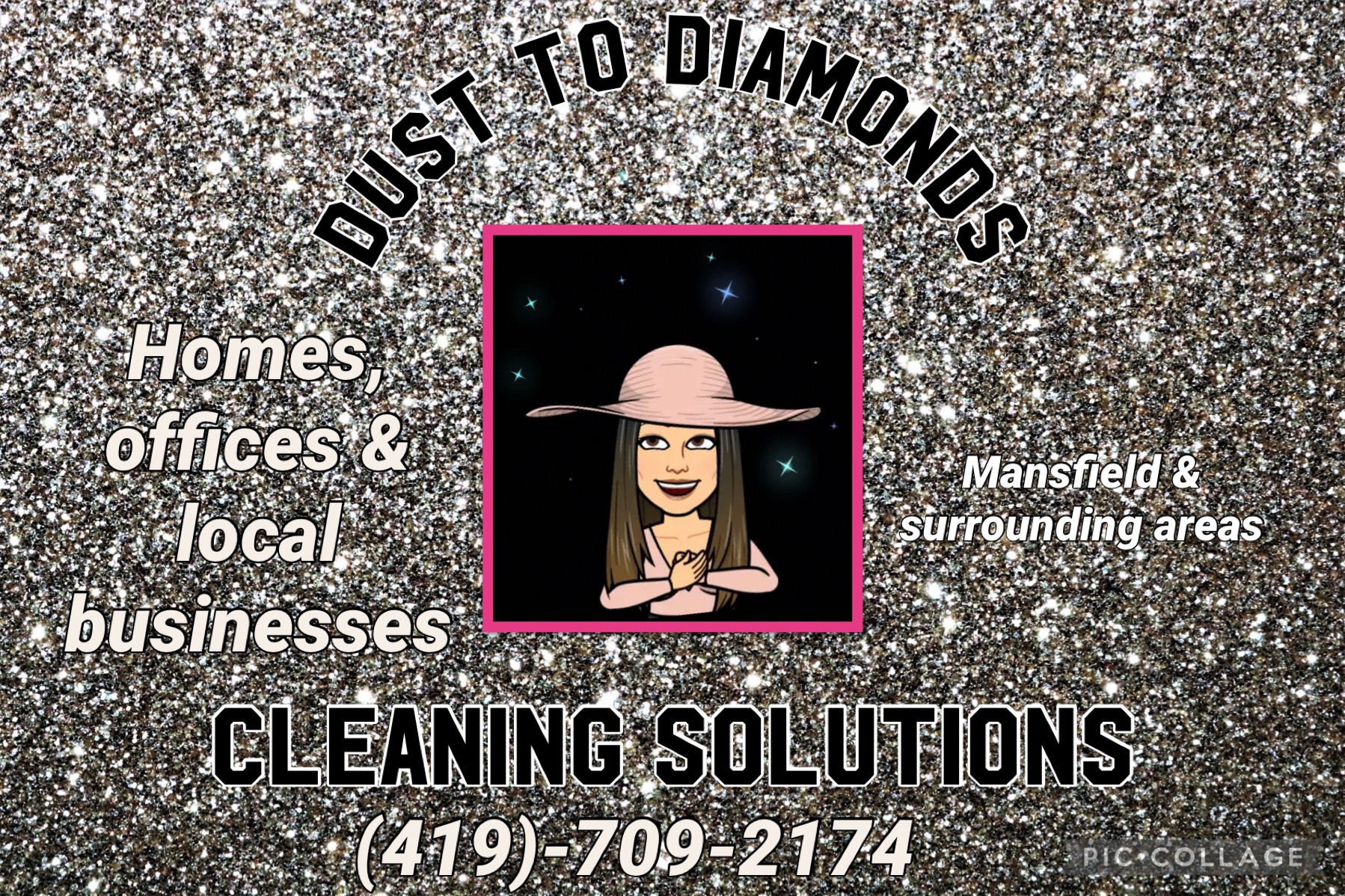 Dust to diamonds cleaning solutions logo