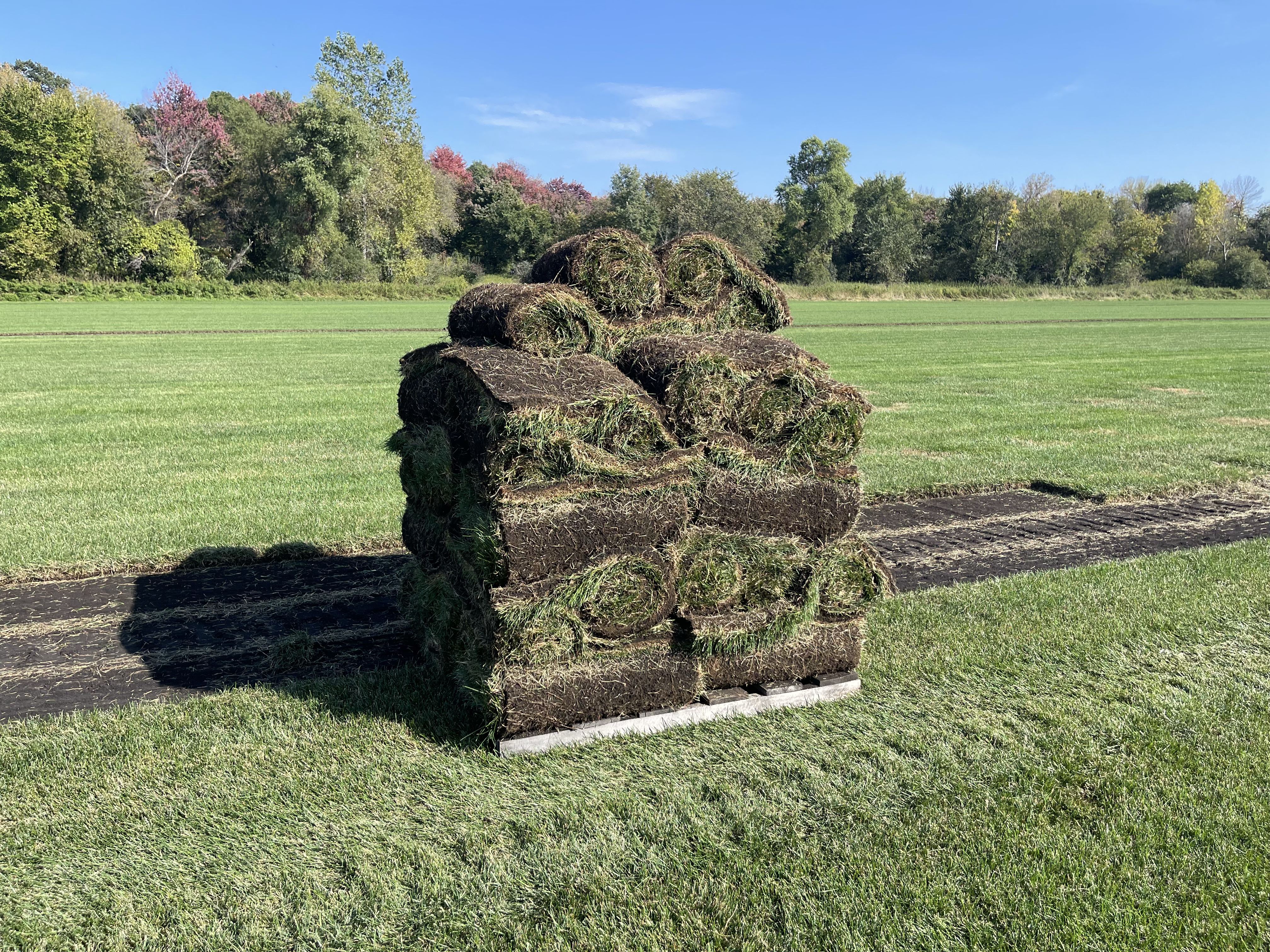 Avatar for Alltek Turf and Outdoor Services