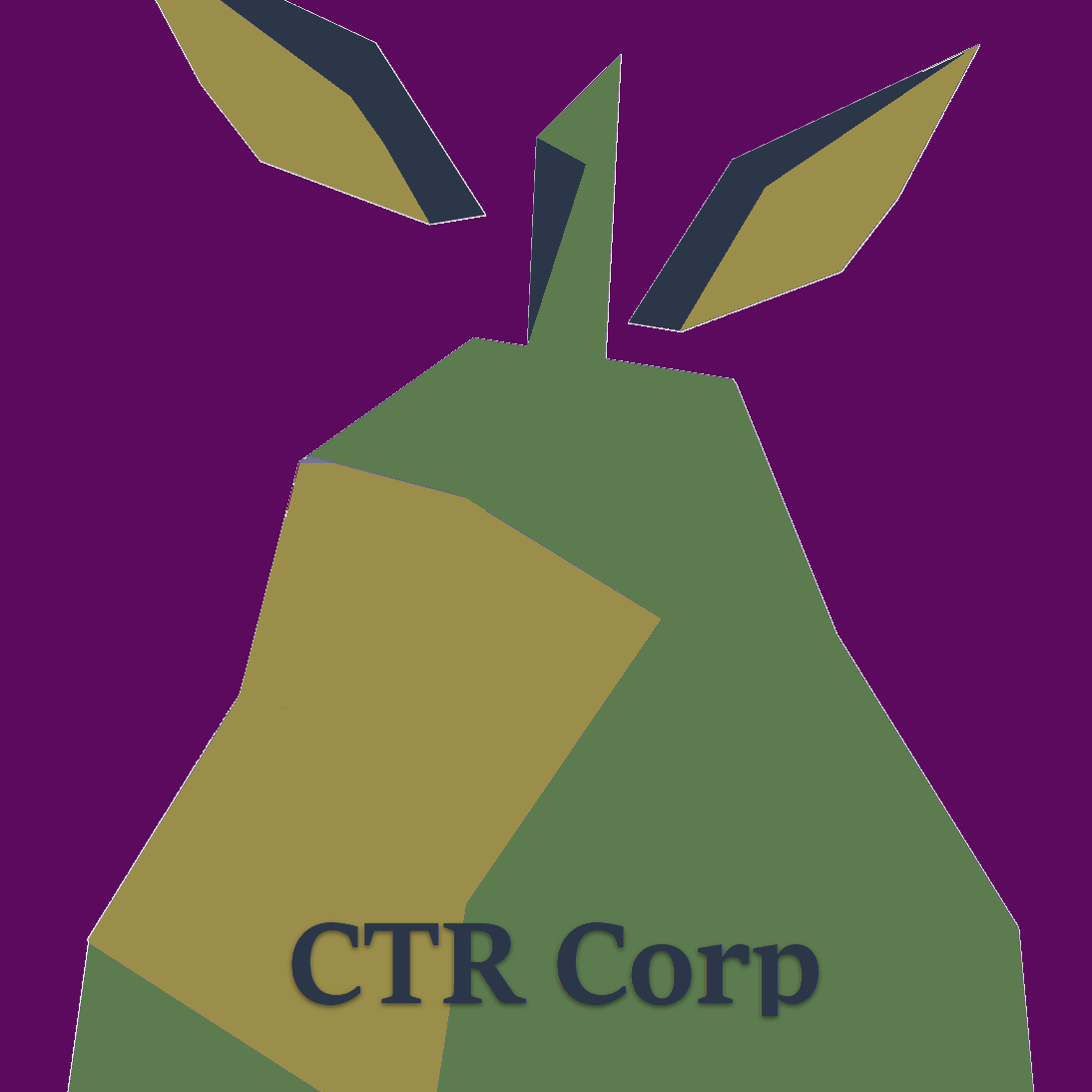 CTR Corp logo