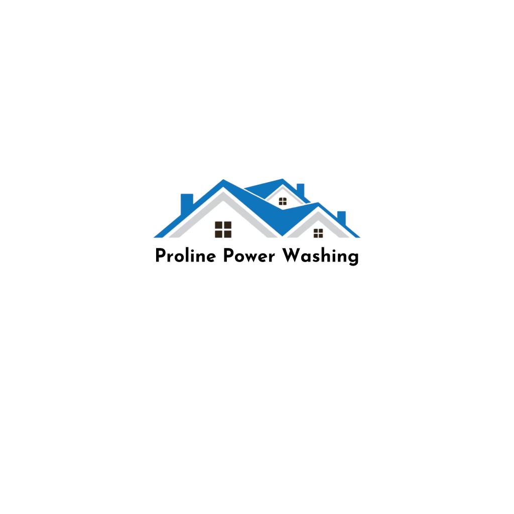 Proline power washing & soft wash logo