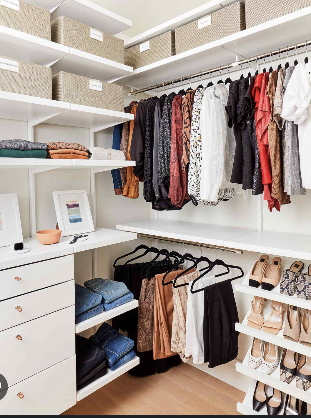 Avatar for Organize it