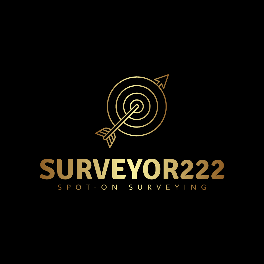 Avatar for SURVEYOR22