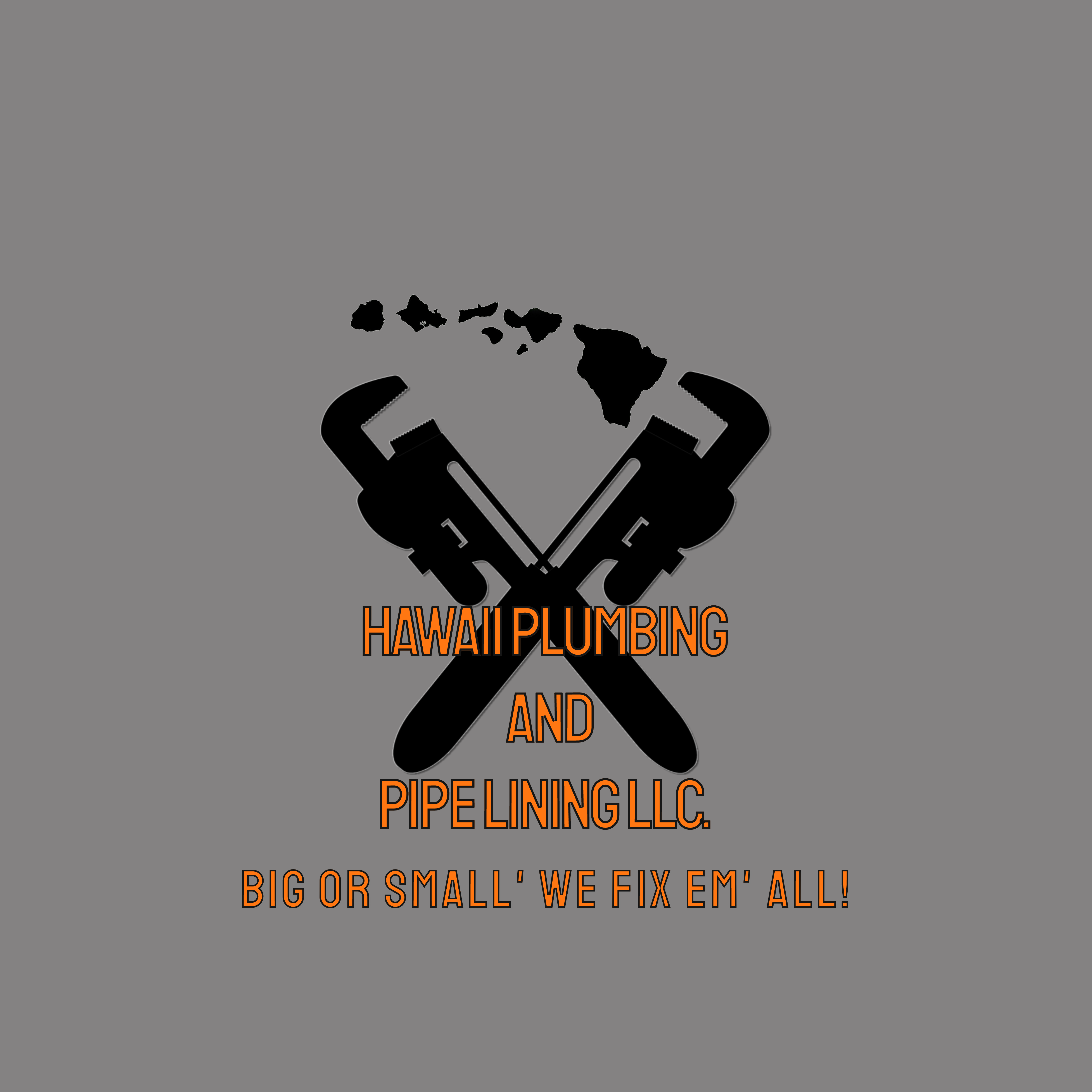 Hawaii Plumbing and Pipe Lining LLC logo