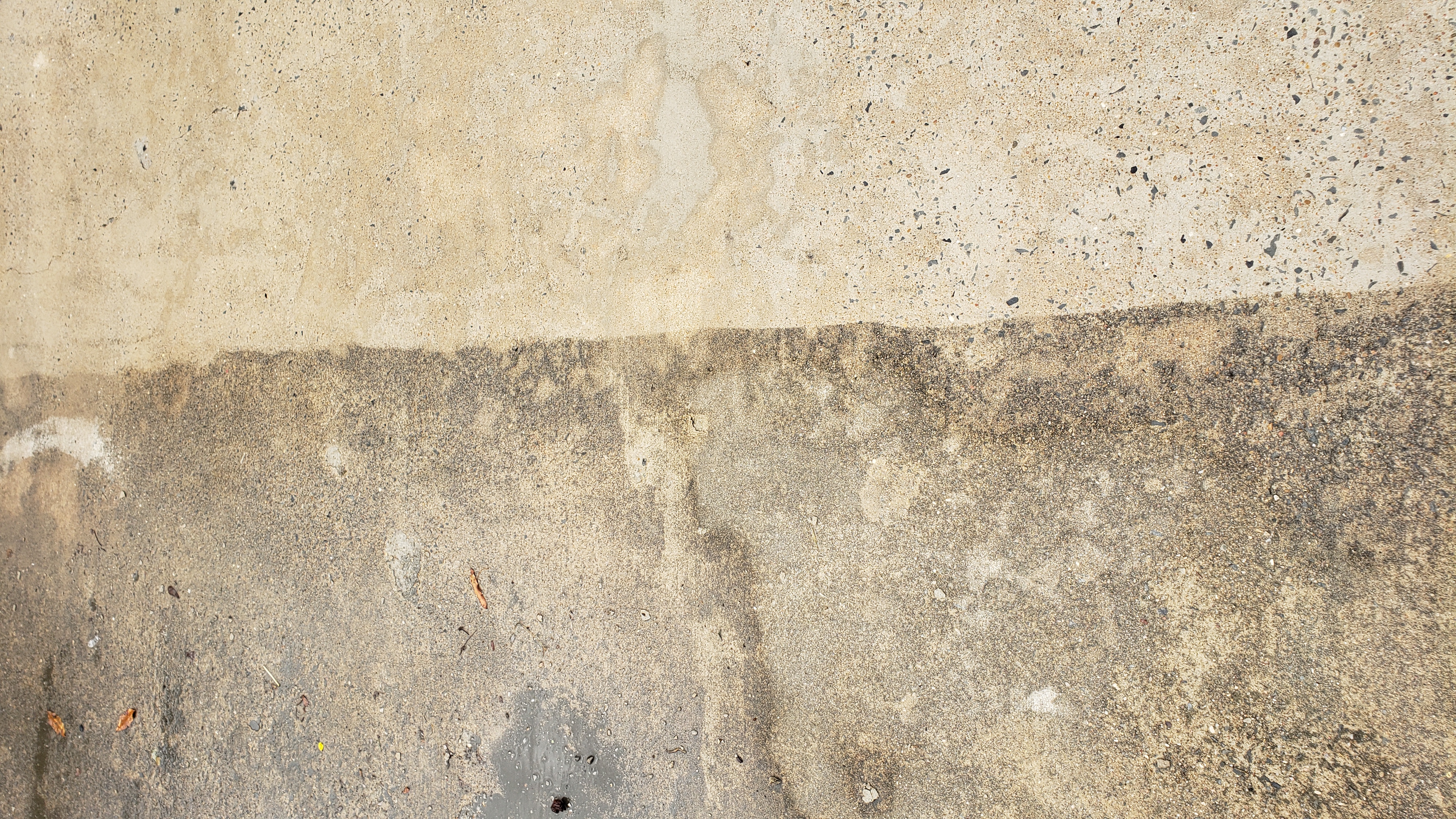 Pressure Washing & Gutter Cleaning logo