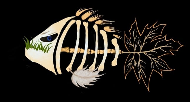 Avatar for Piranha outdoor services