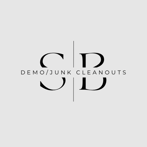 SBDemo&cleanUp logo