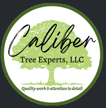 Caliber Tree Experts, LLC logo