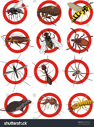 Buzz Off Pest Solutions And Removal logo
