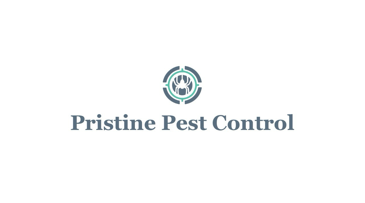Avatar for Pristine Pest Control