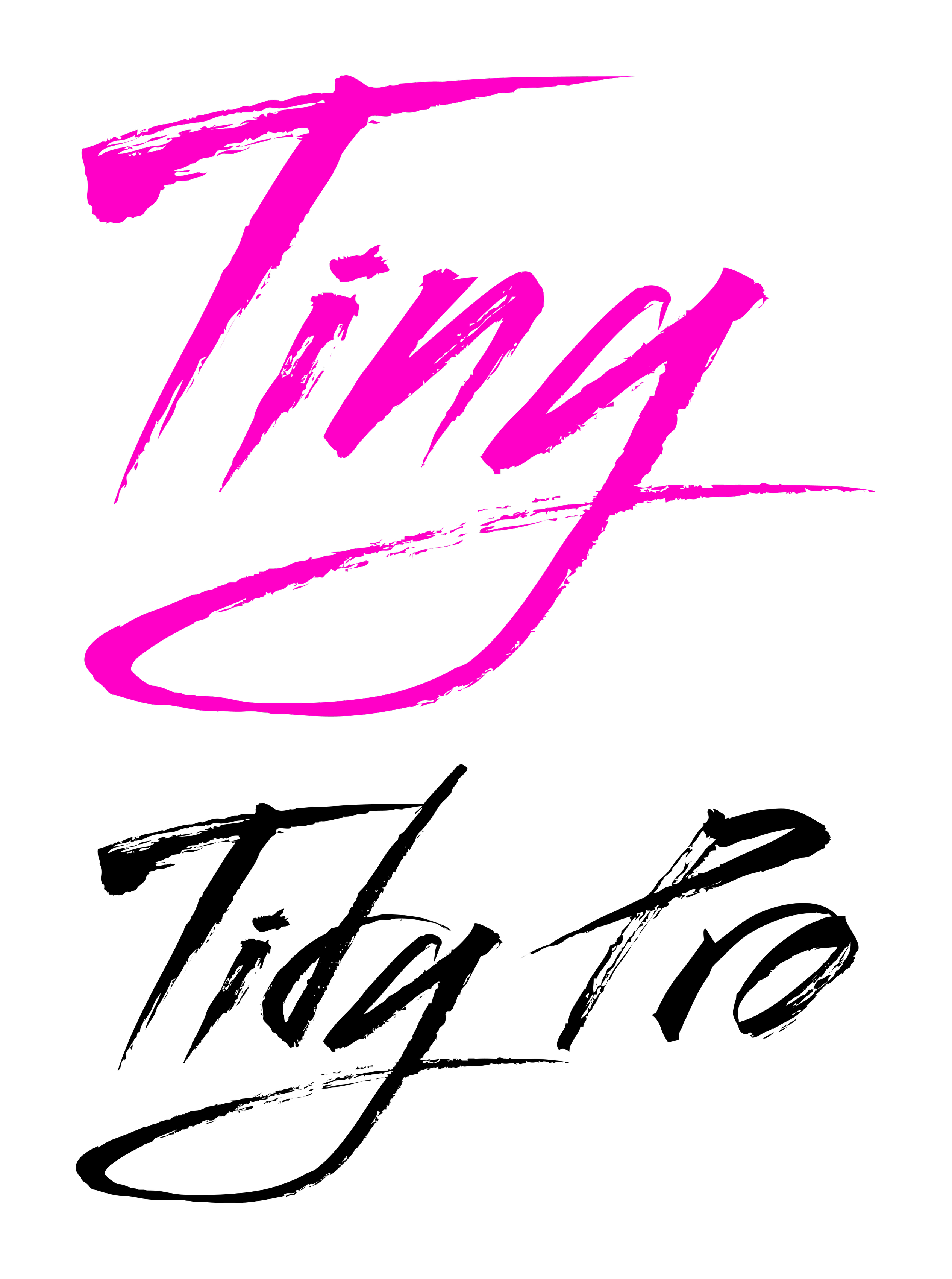 Tiny Tidy Pro logo