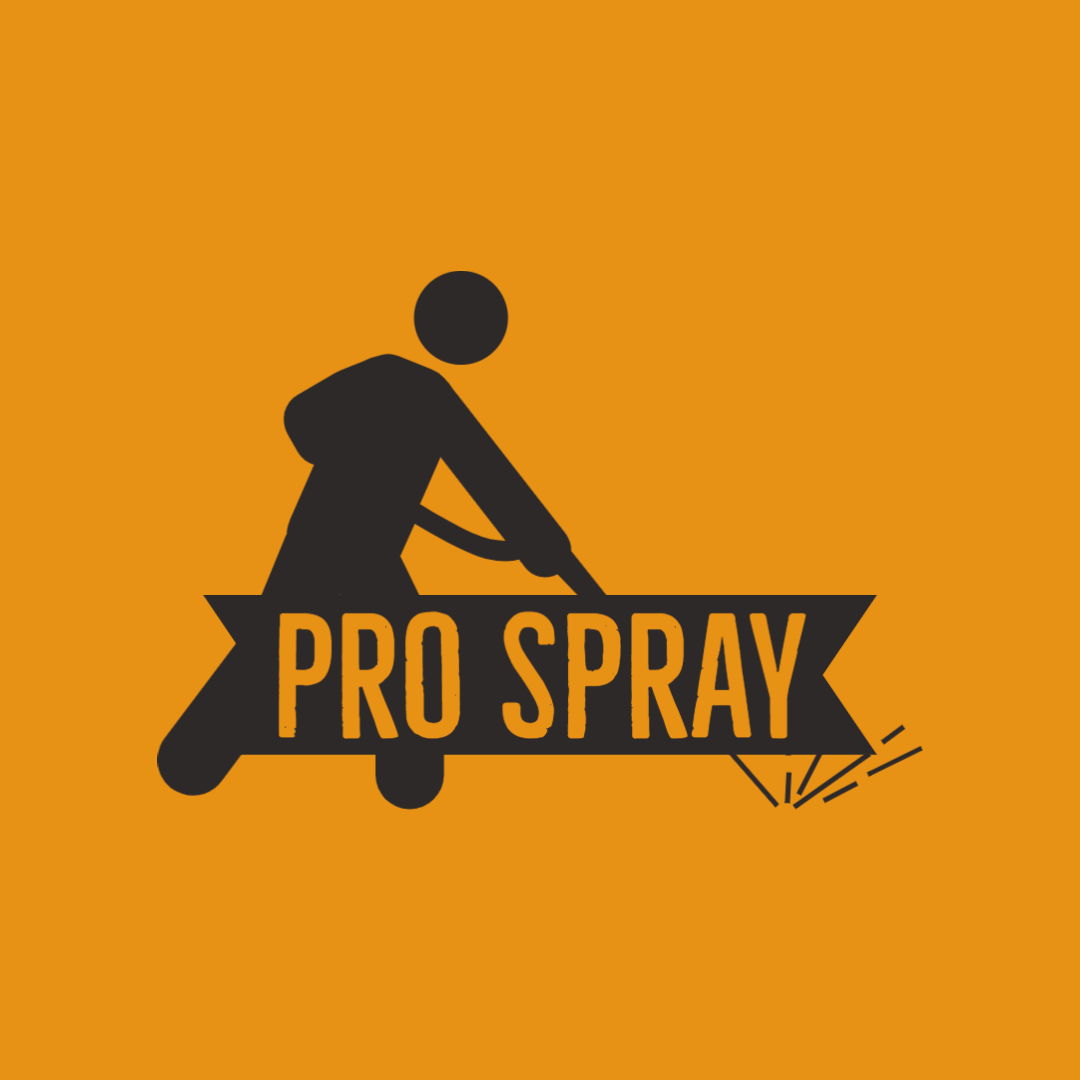 ProSpray Paint and Pressure Washing logo