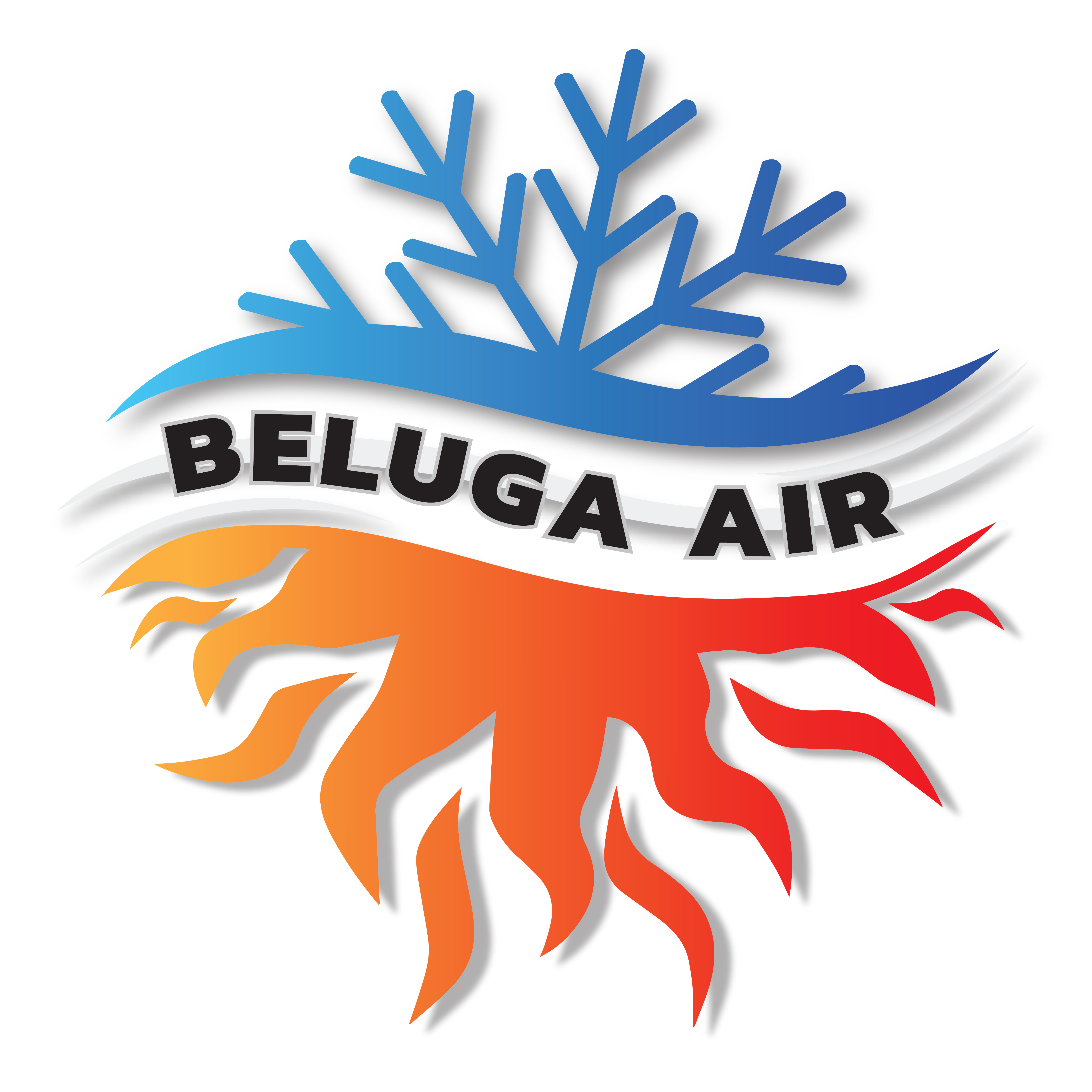 Avatar for Beluga Air