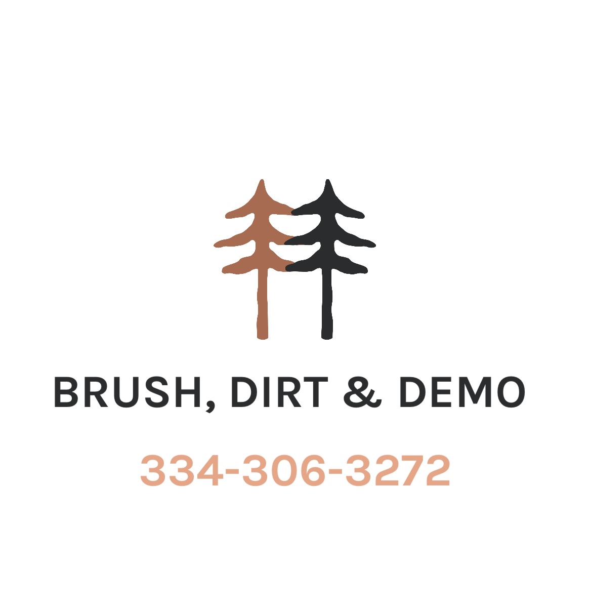 Brush, Dirt & Demo logo