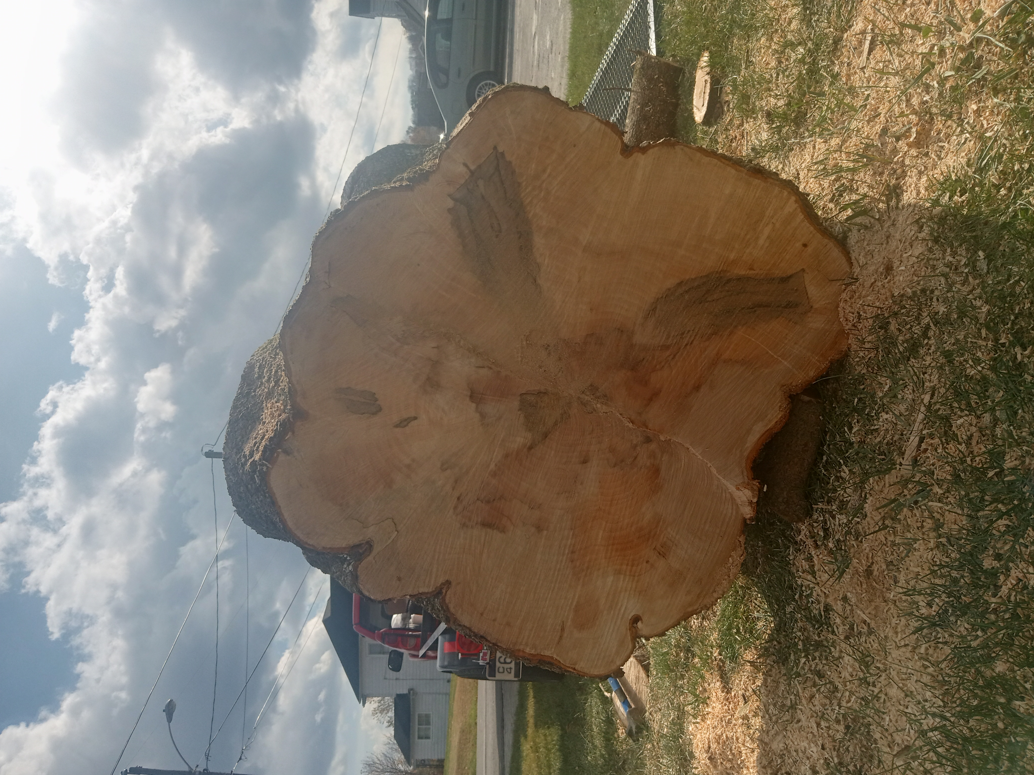 Avatar for Bennett Landscaping & Tree Service