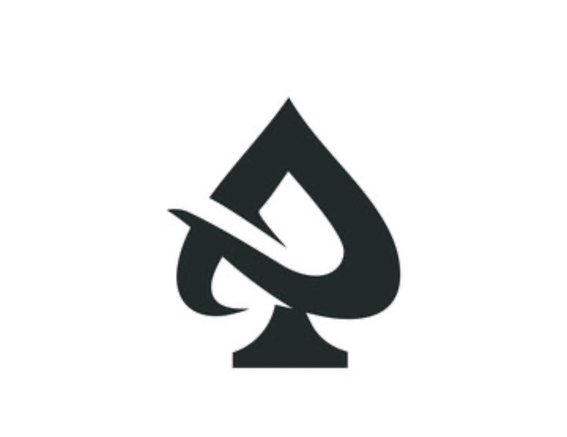 Avatar for Ace renovations