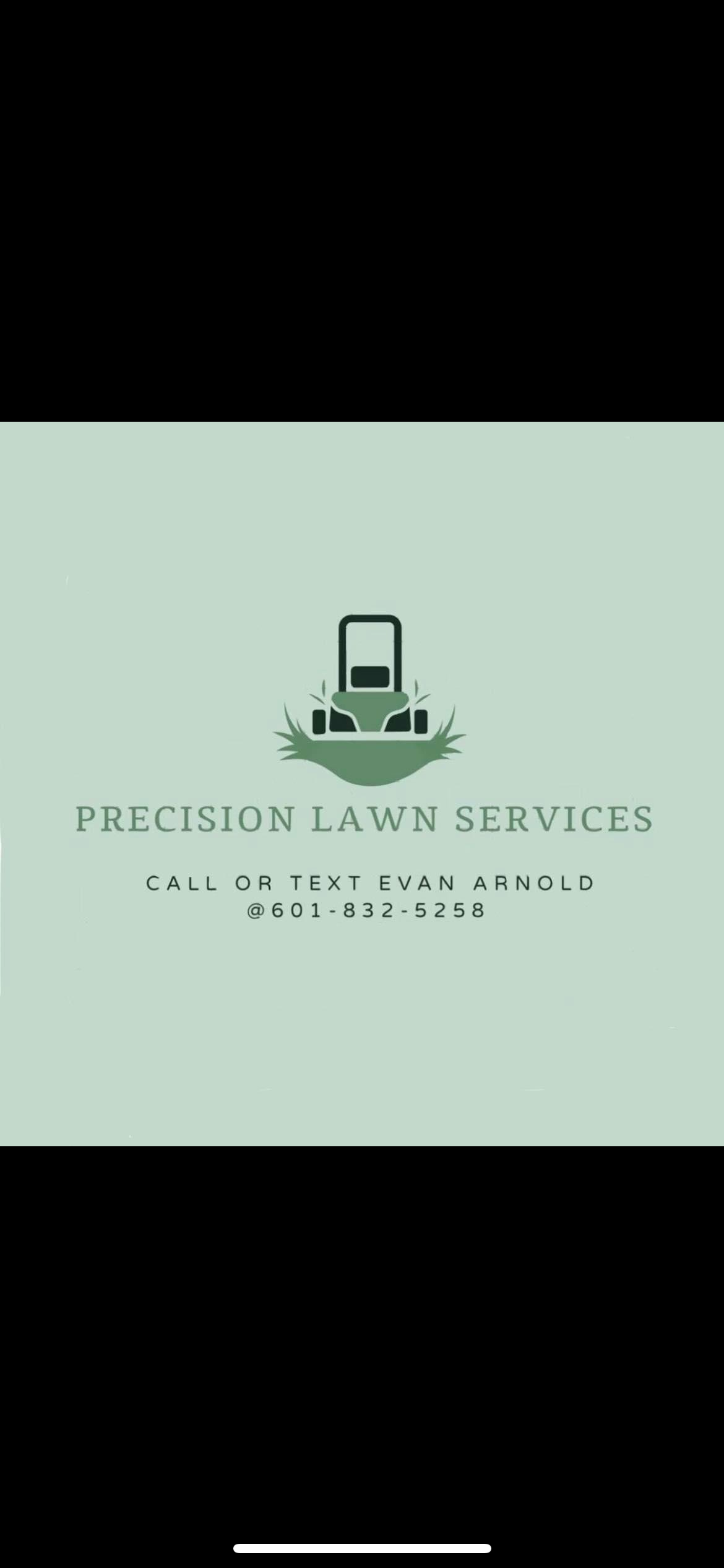 Precision lawn services logo