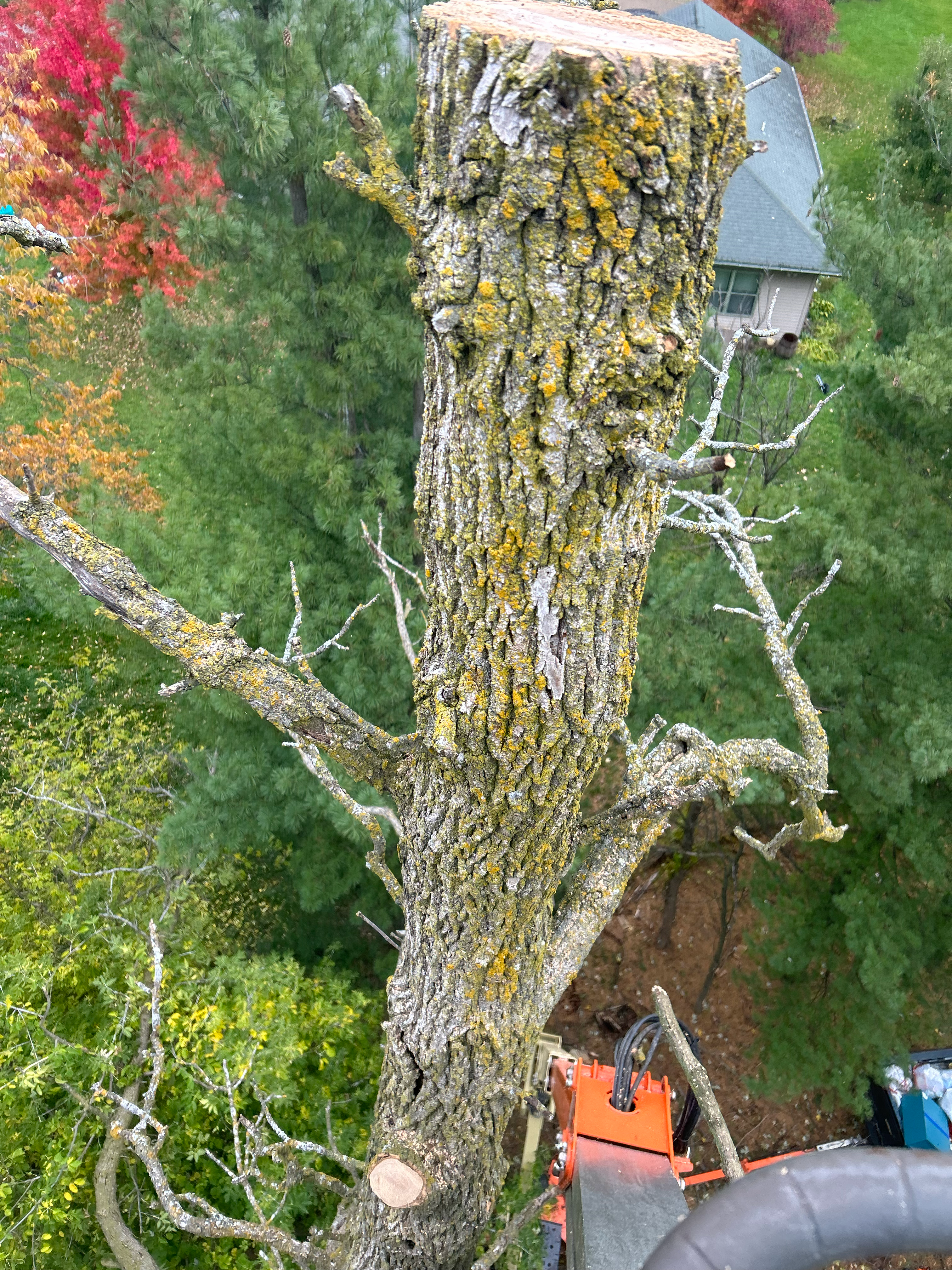 Avatar for Packer Tree Service