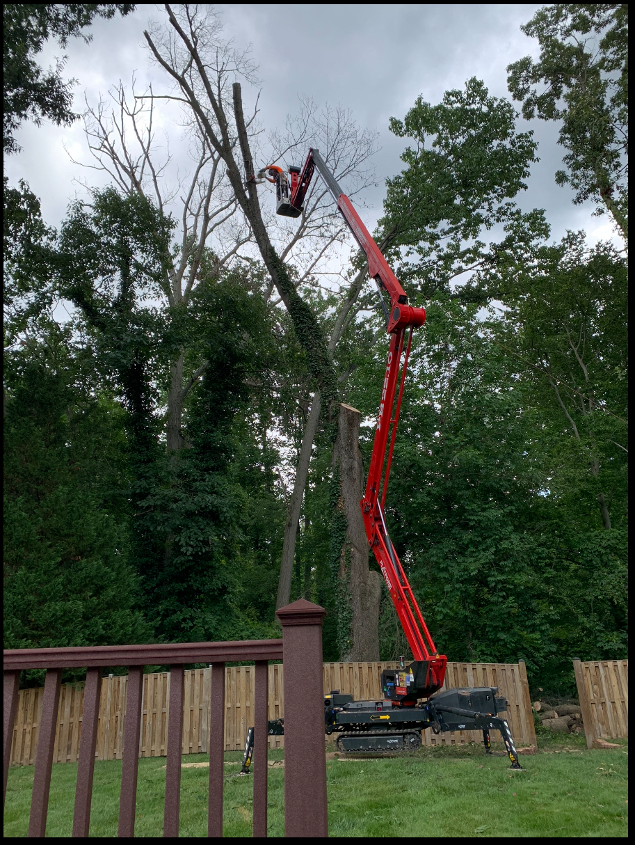 Logo for Alka Tree Service