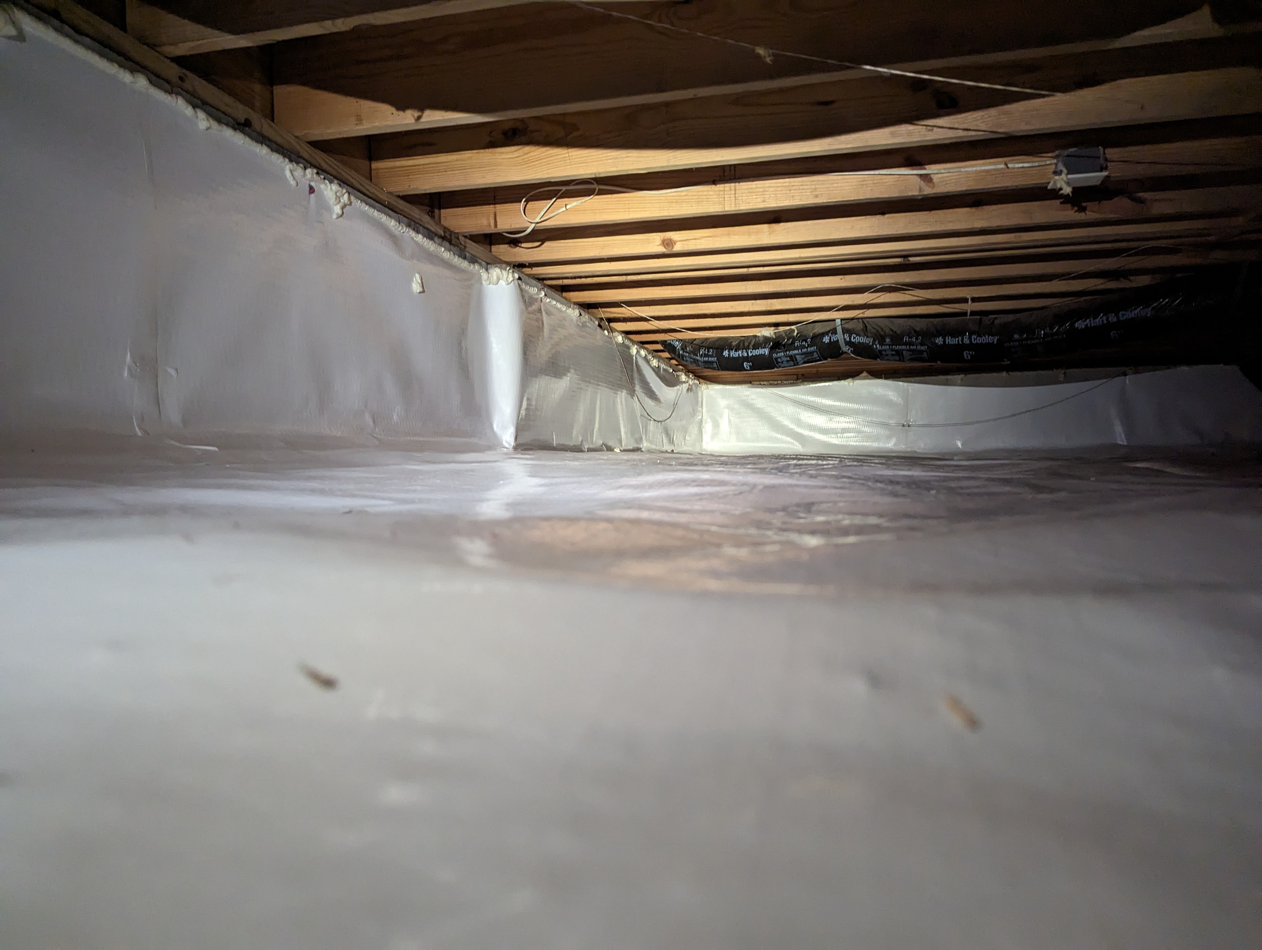 Cassidy crawlspace logo