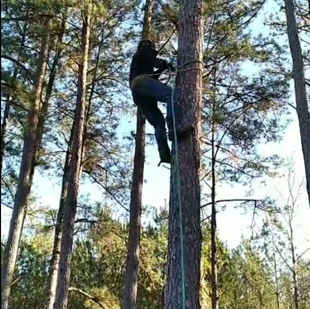 Avatar for The Woodman