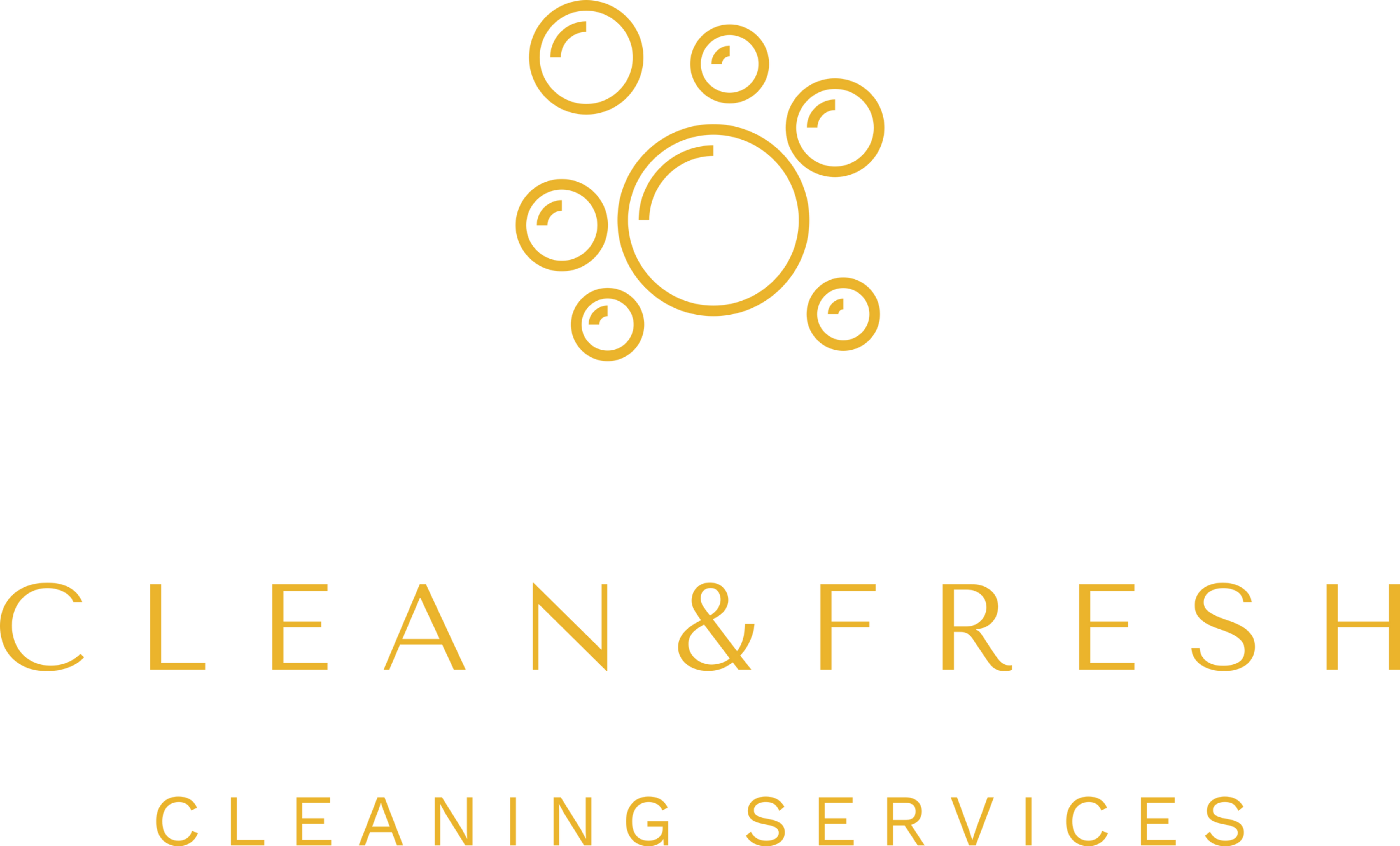 Avatar for CLEAN & FRESH LLC