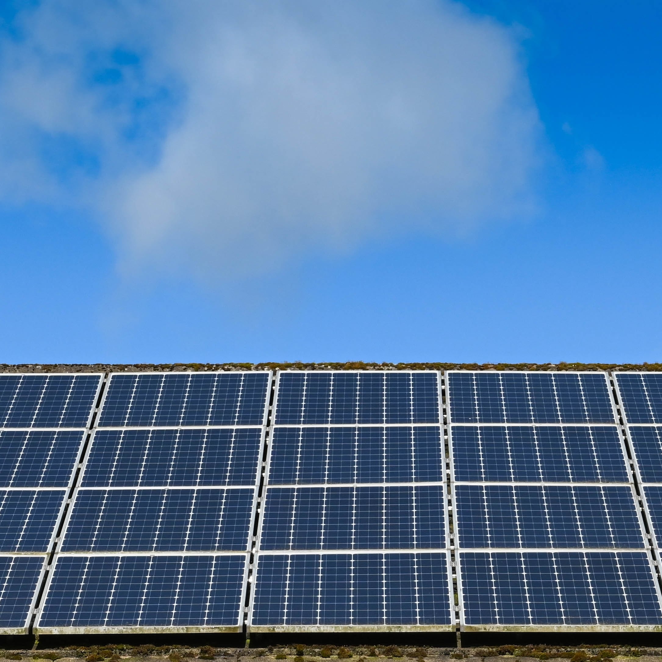 Avatar for Solar Empowerment Consultant