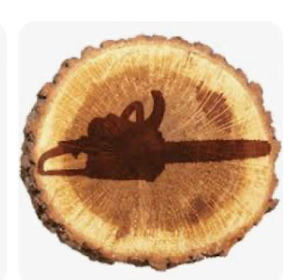 Burtch Tree Removal LLC logo