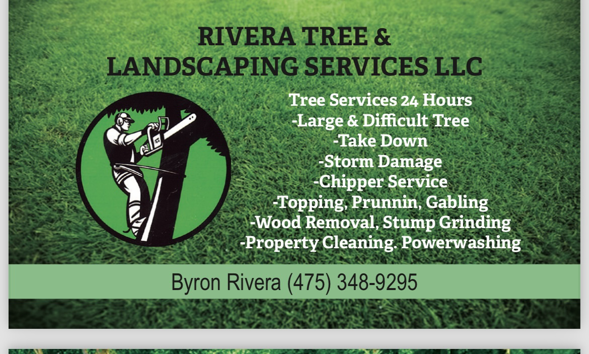 Avatar for Rivera Tree & Landscaping Services