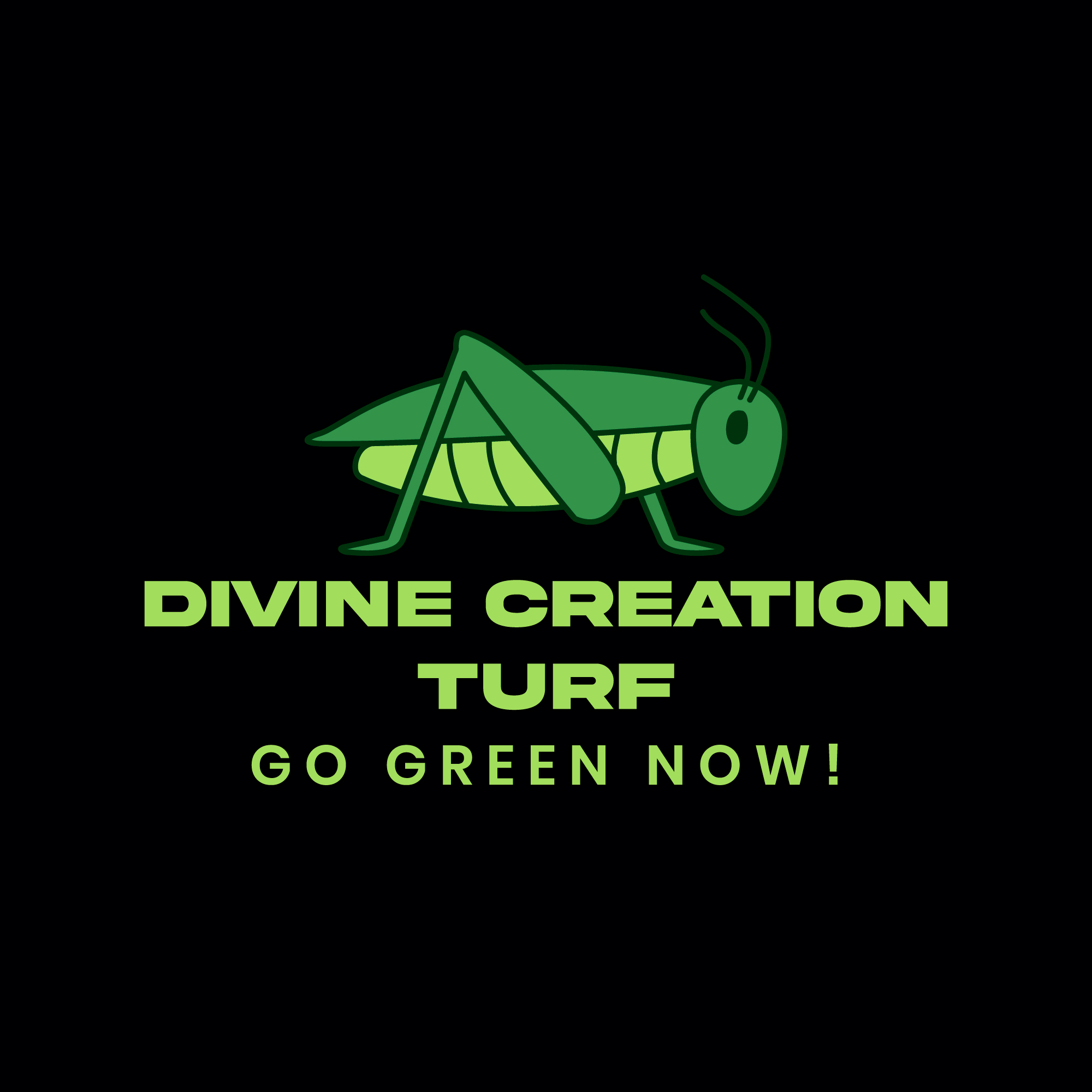 Divine Creation Turf logo