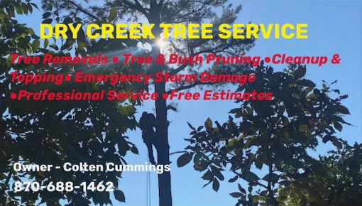 Dry Creek Tree Service logo
