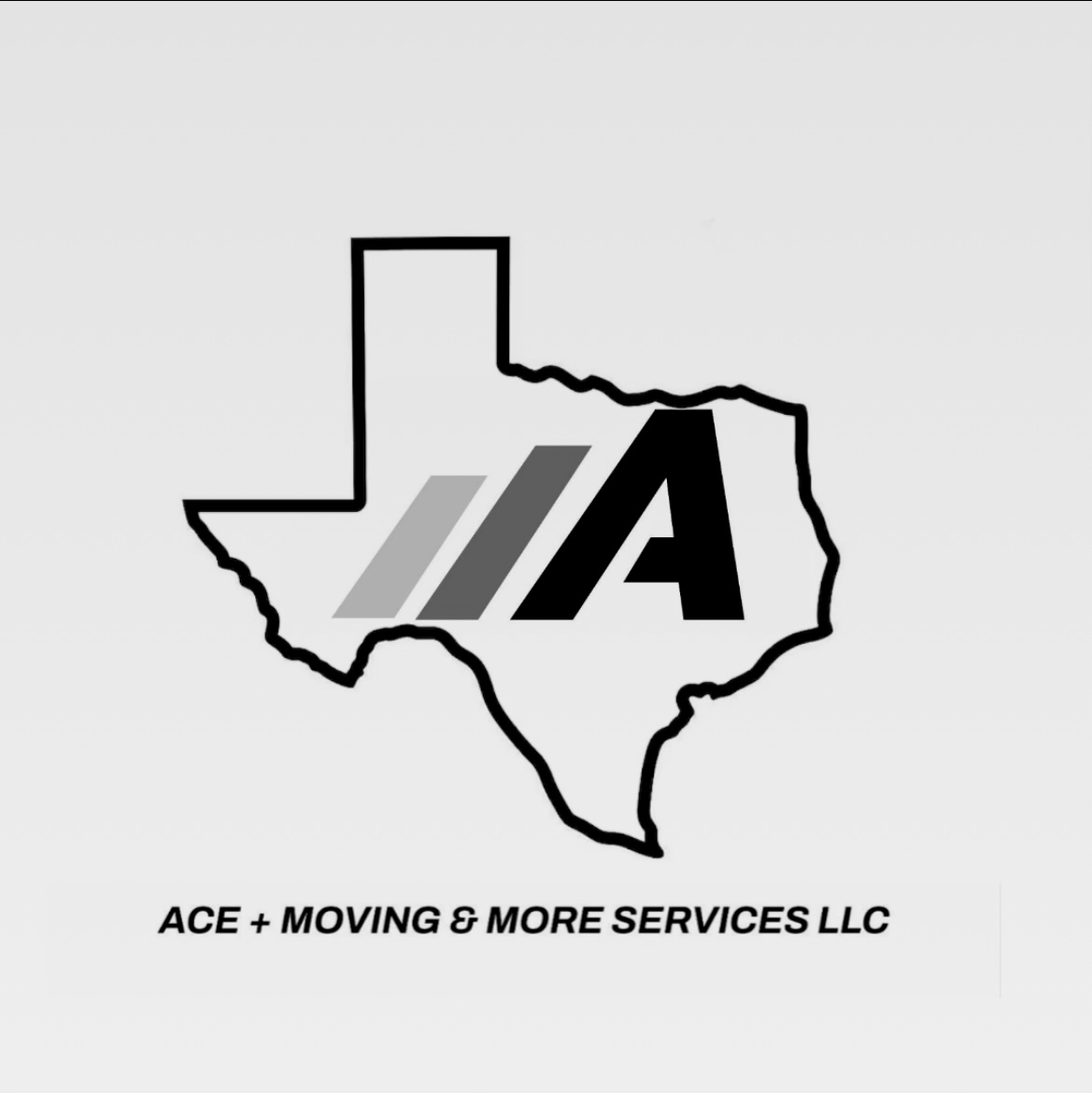 ACE PLUS SERVICES LLC logo