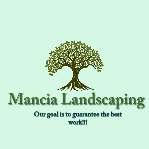 Avatar for Mancia landscaping
