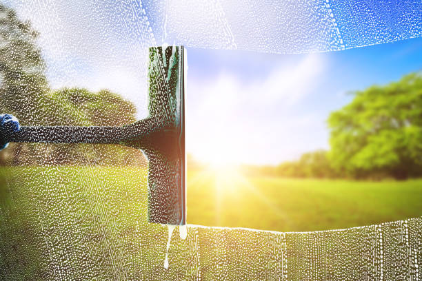 Avatar for Clear View Window Services