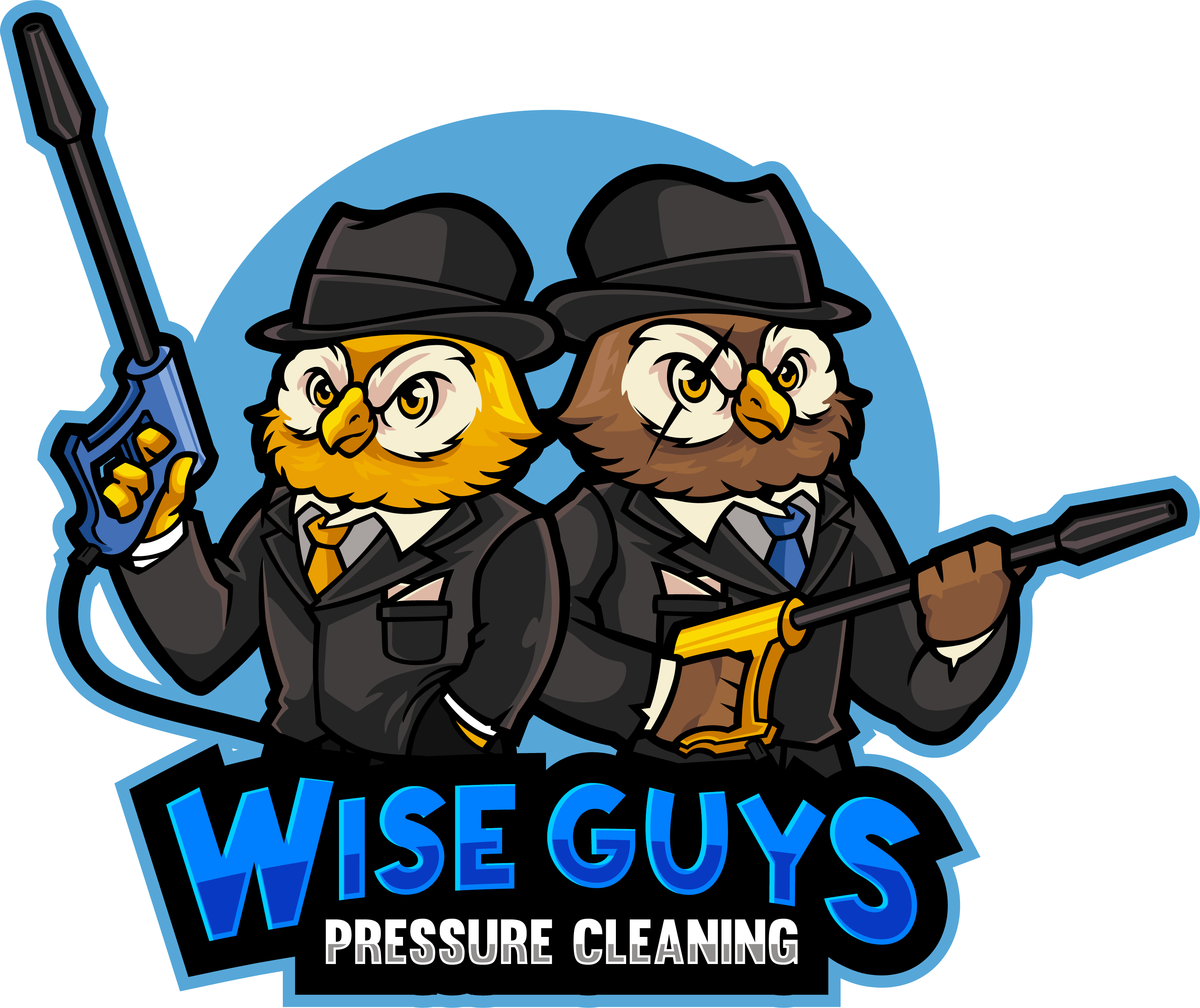 Wise Guys Pressure Cleaning LLC logo