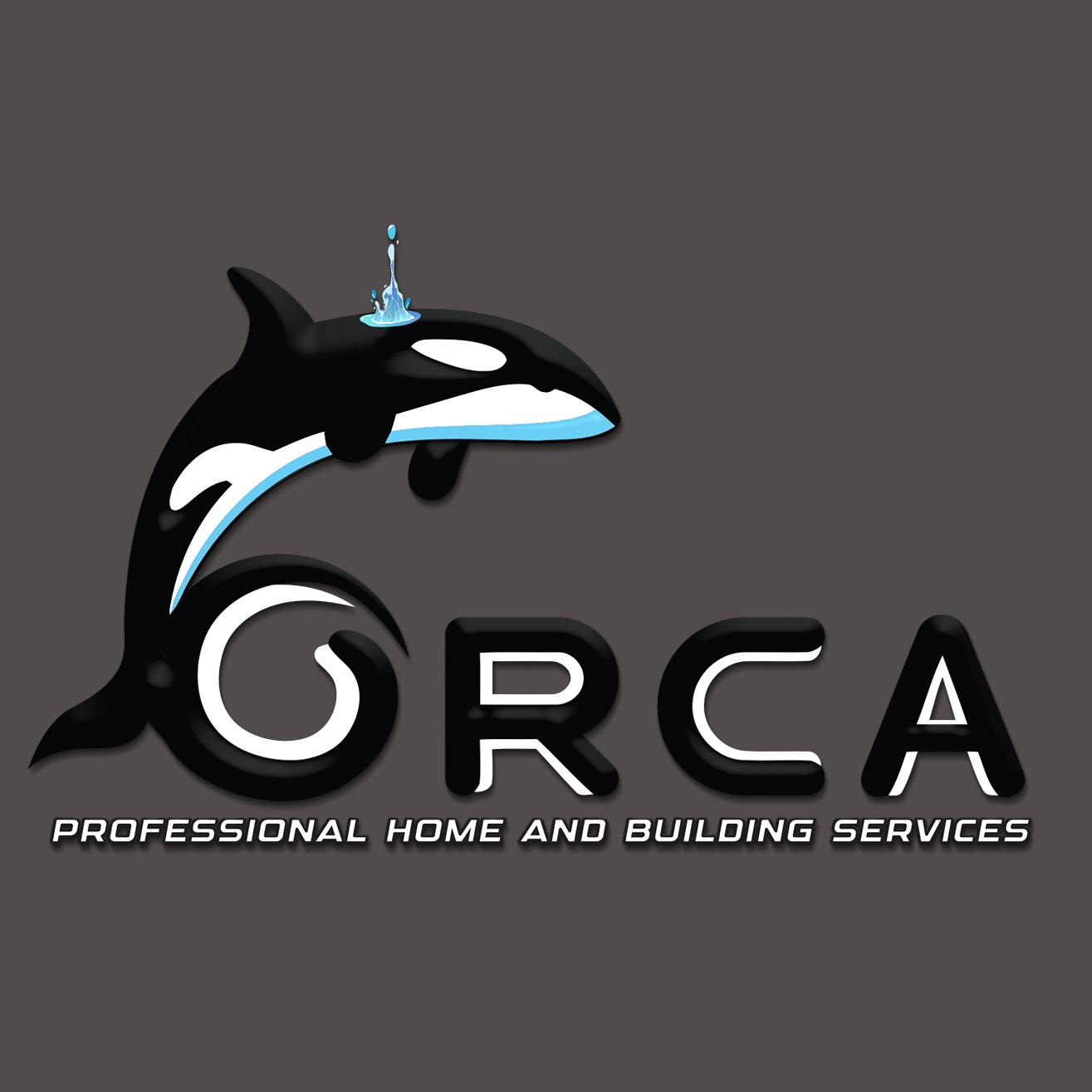 Orca Professional Home and Building Services logo