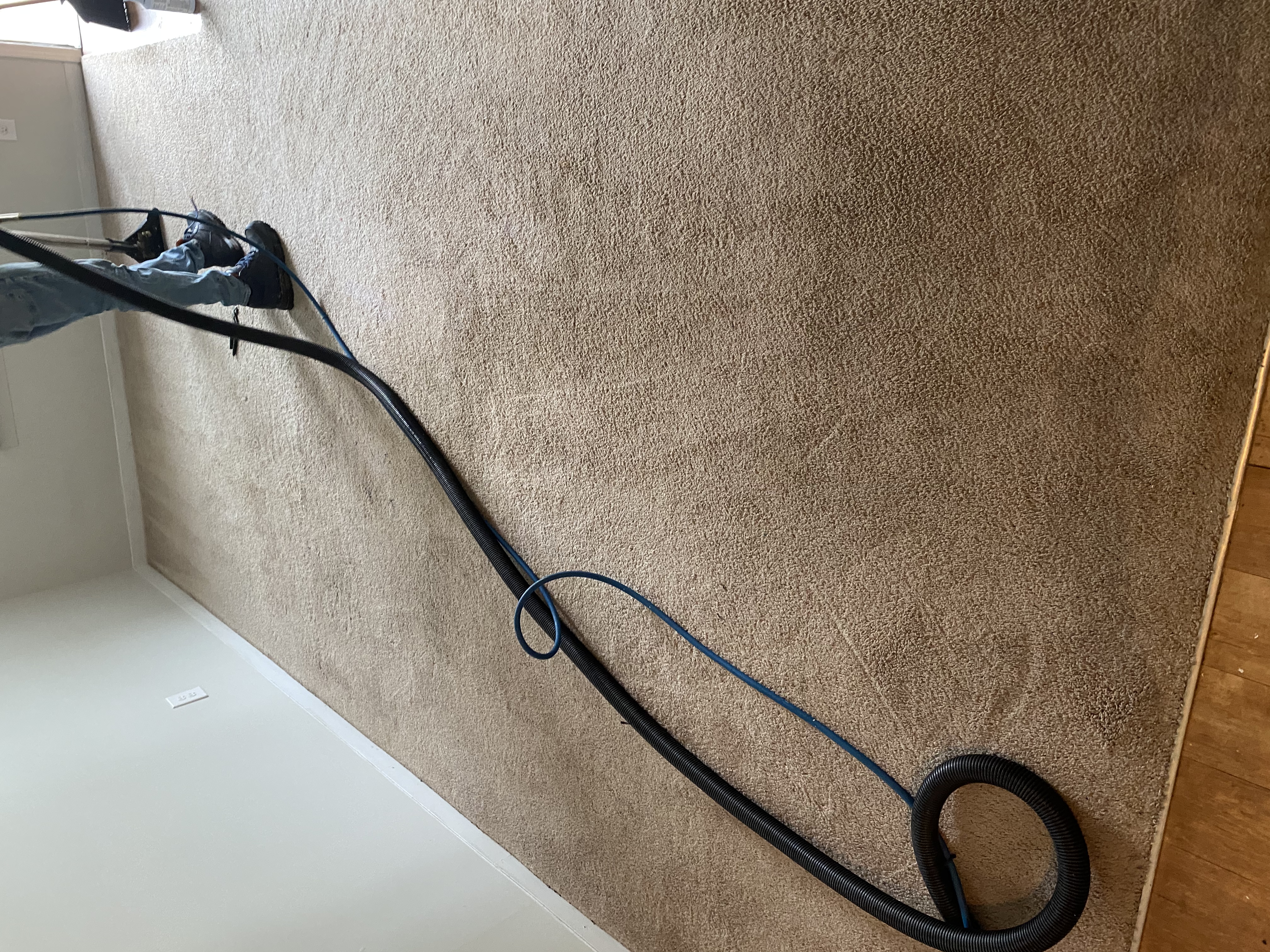 A1 carpet cleaning logo