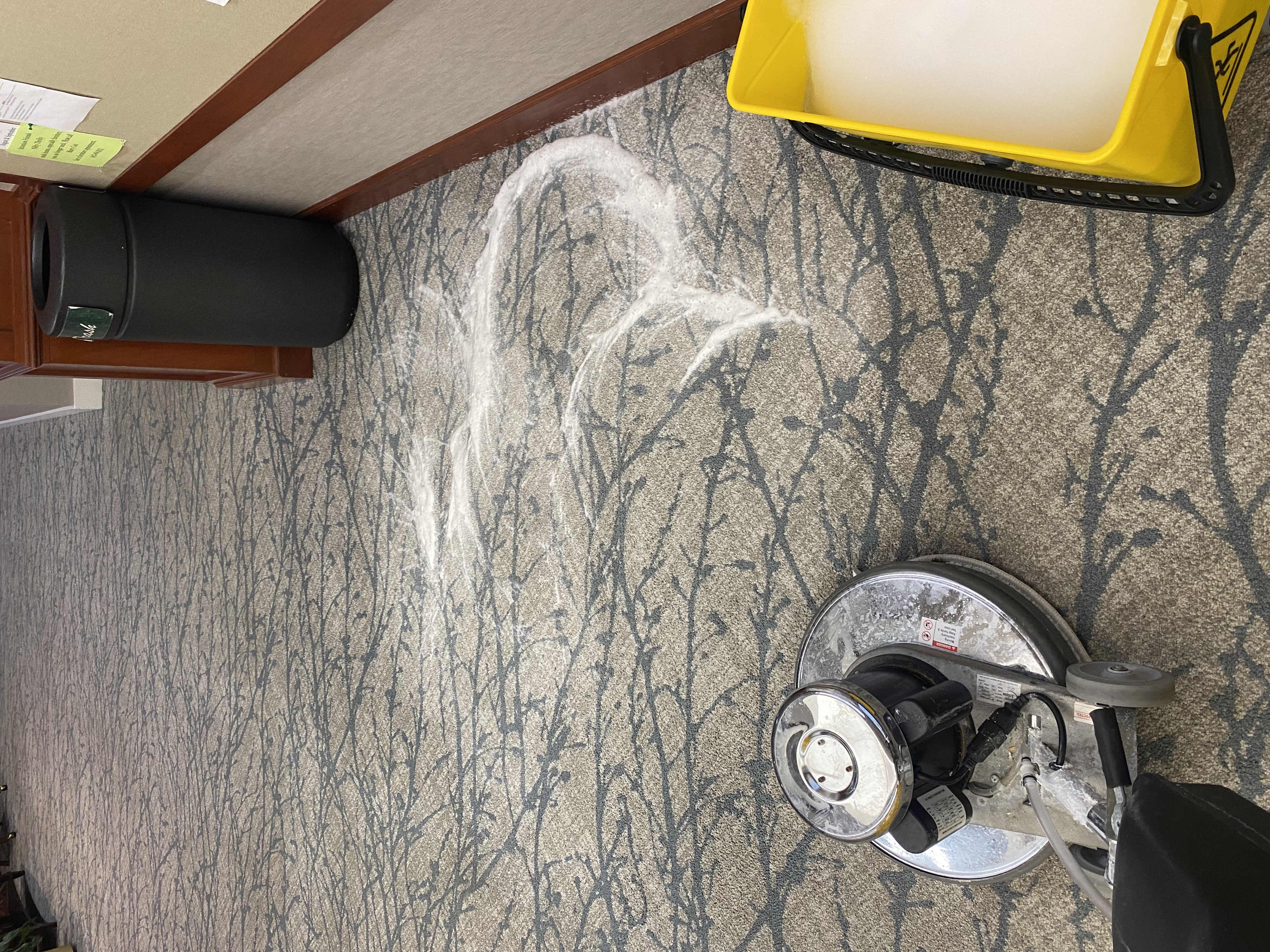 Eazzzyscarpetcleaningservices logo