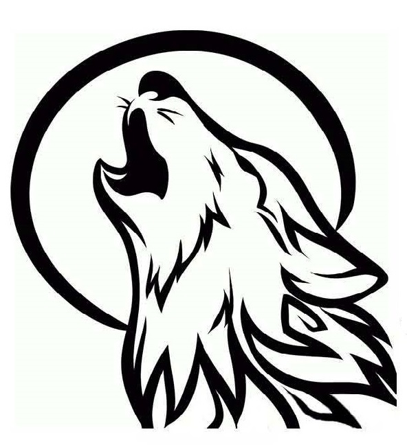 Coyote Contracting logo