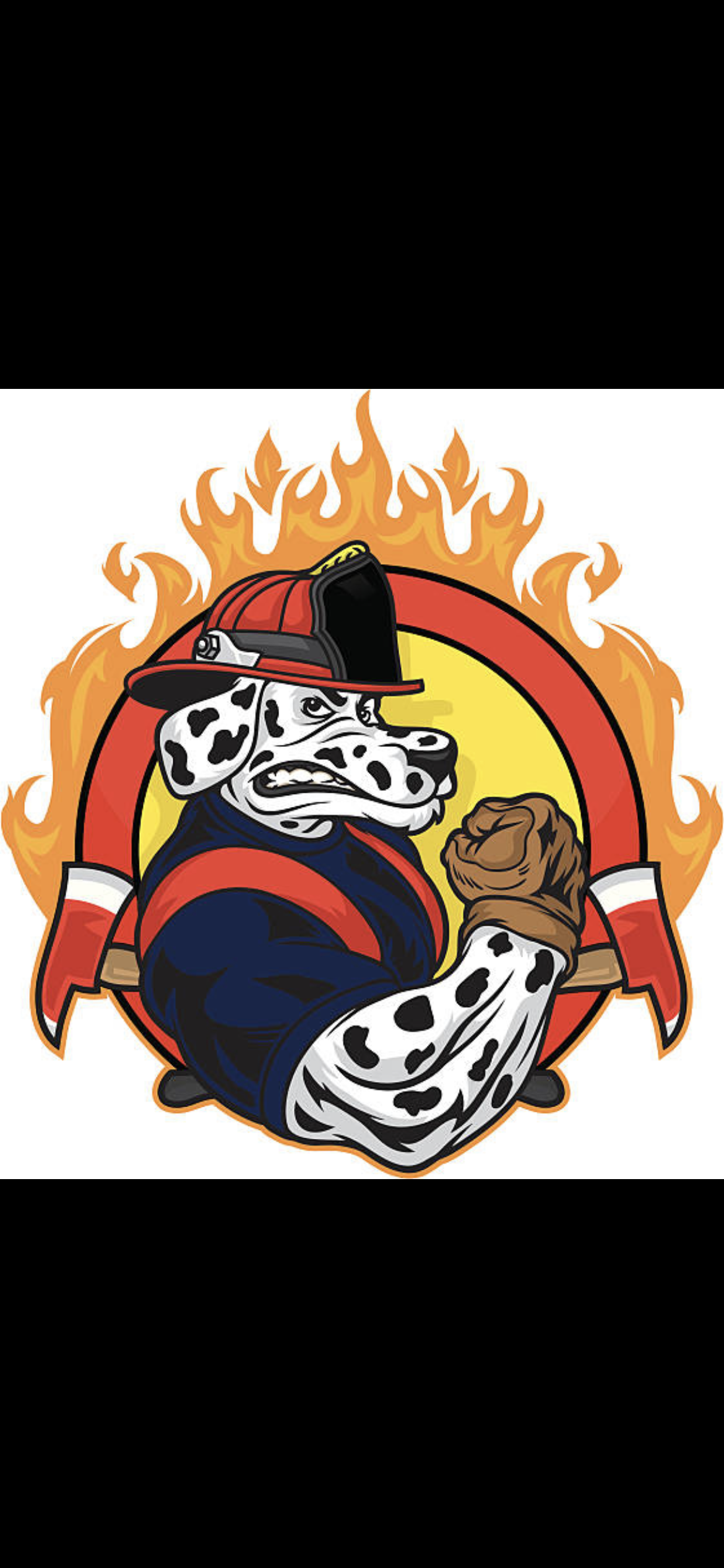 Fitzhughs Junk Removal logo