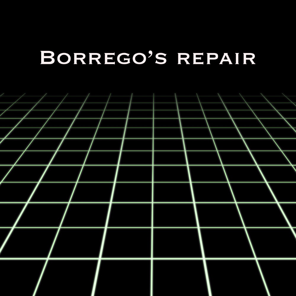 Borrego repair logo
