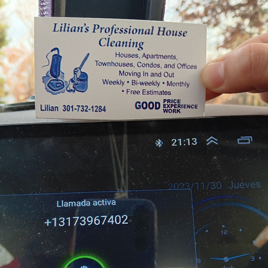 Professional House Cleaning logo
