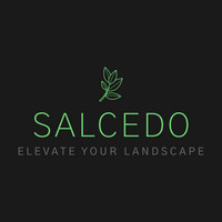 Salcedo Platinum Services, LLC. logo