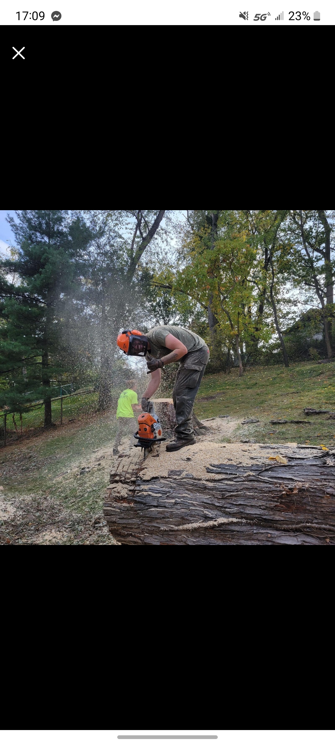 Avatar for Carters Tree Service