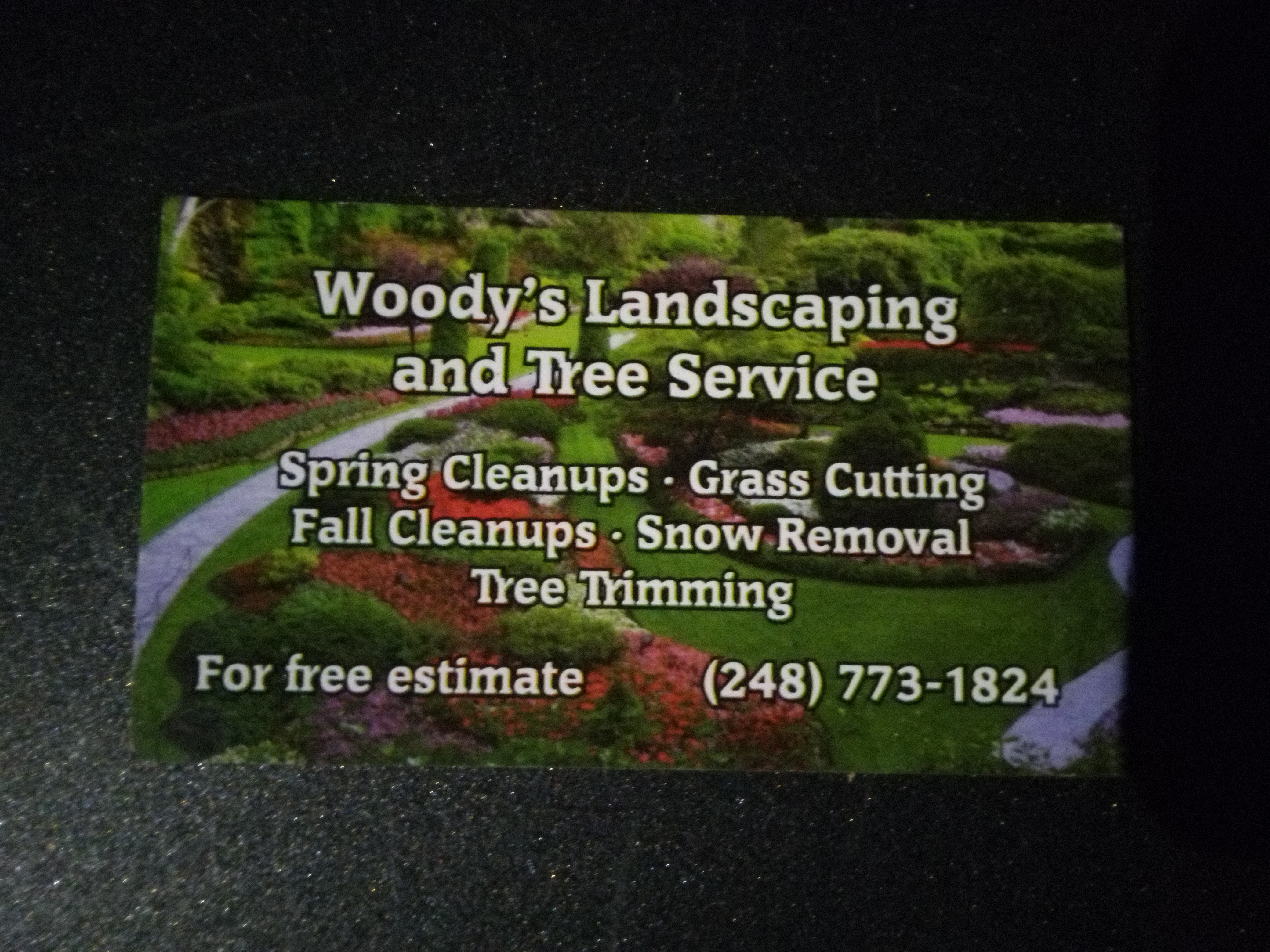 Woody's Landscaping and Snow removal logo