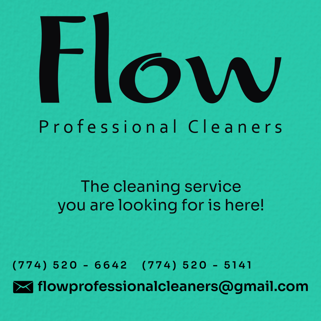 Flow Professinal Cleaners logo