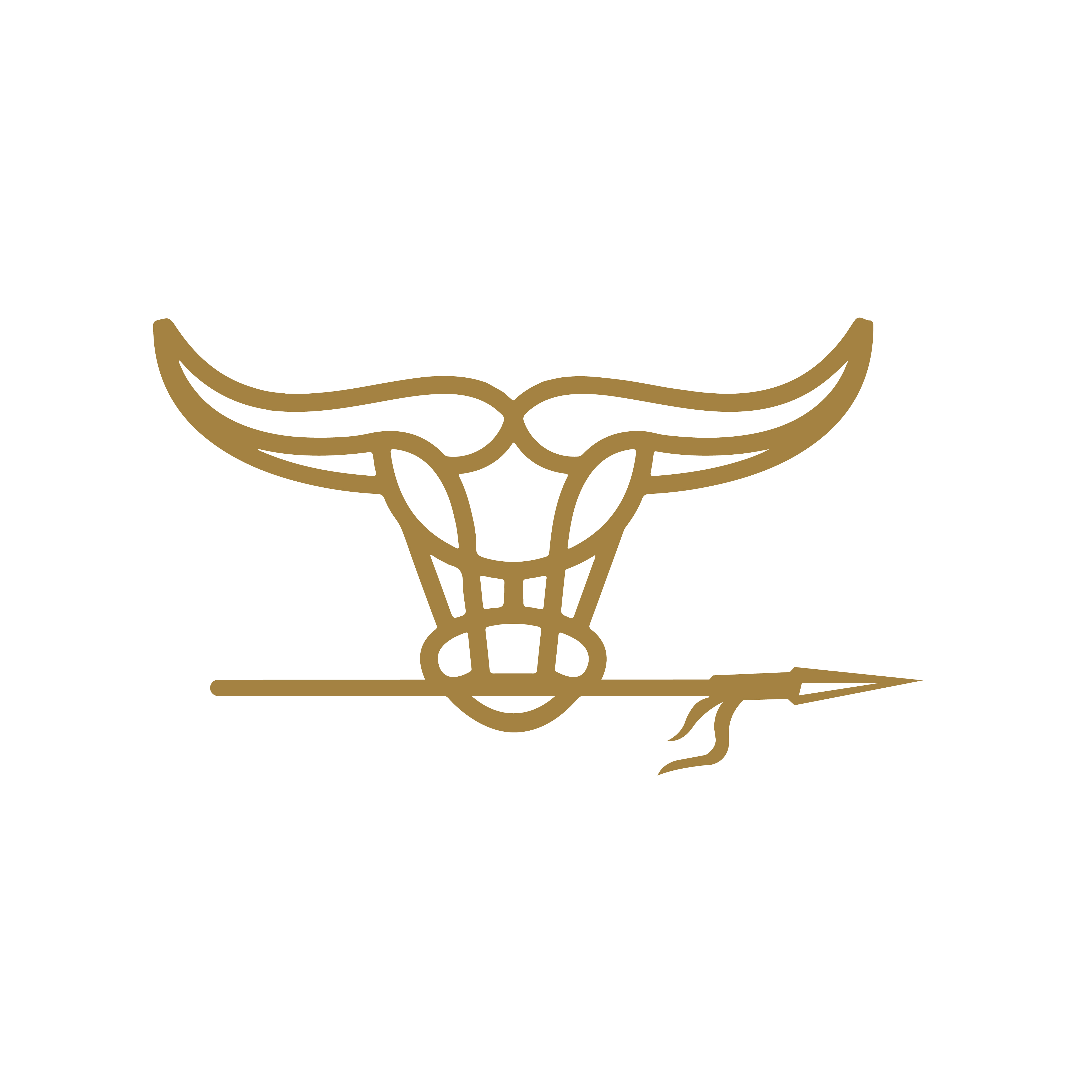 Toricent Construction LLC logo