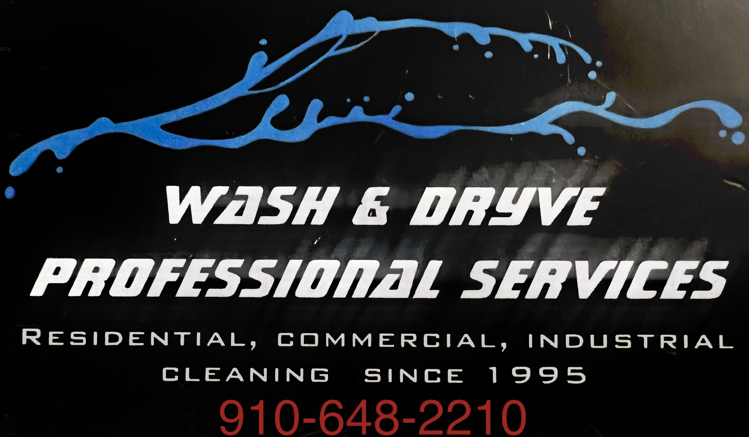 Wash & Dryve Professional Services logo